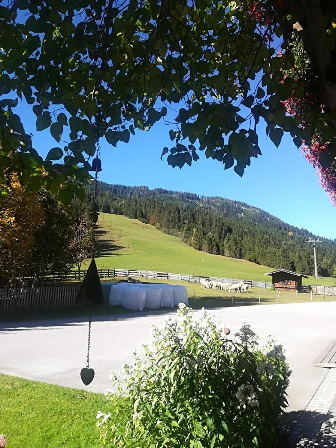 Walchauhof Hotel Flachau Luaran gambar