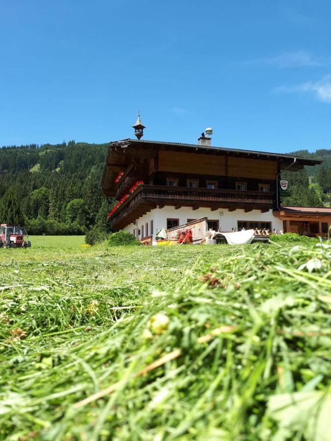 Walchauhof Hotel Flachau Luaran gambar