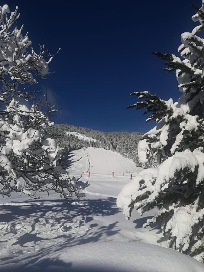 Walchauhof Hotel Flachau Luaran gambar